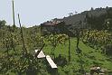 antico casolare